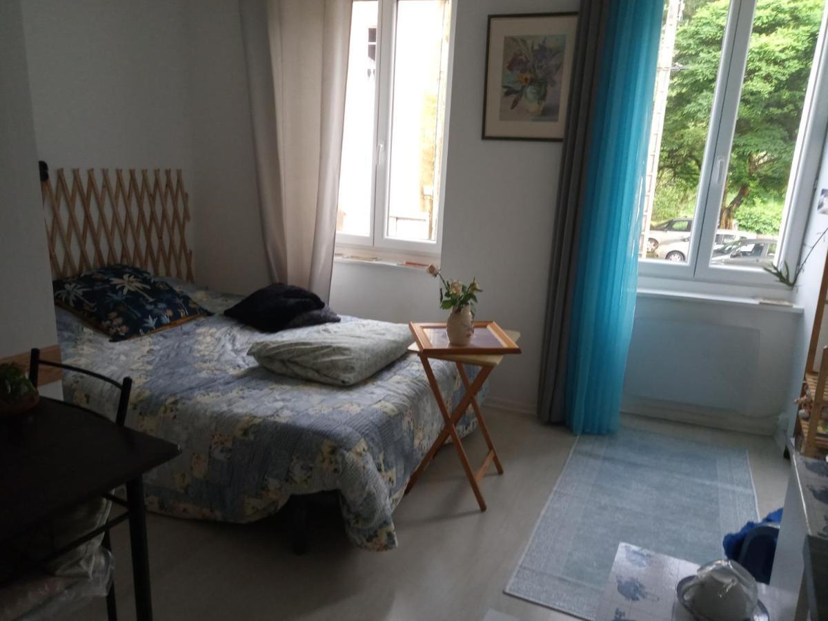 Tiny Studio Ariege Pyrenees Castelnau-Durban Экстерьер фото